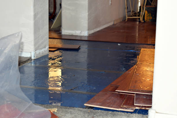 Professional Sewage Cleanup technician working in Sunfield, MI